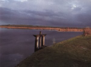 L'étang, milieu 100% naturel